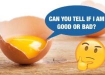 Como saber si un huevo todavia esta bueno ¡Este truco