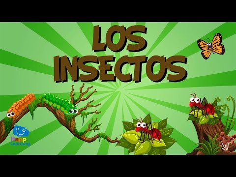 El significado de las larvas de insectos: una exploración detallada en el mundo de la entomología.
