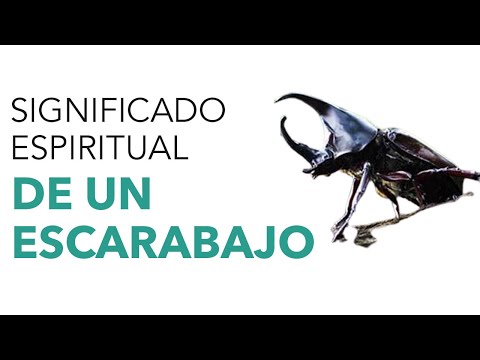 El significado simbólico del escarabajo en las diferentes culturas y religiones