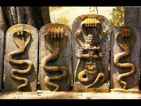 El simbolismo del signo de la serpiente en varias culturas y su significado profundo.
