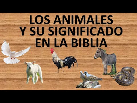 El simbolismo de los animales salvajes en la Biblia: Un análisis detallado