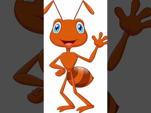 El significado de las hormigas en la santería: una exploración simbólica y cultural