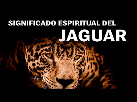 El significado de los sueños con la presencia de un jaguar en ellos